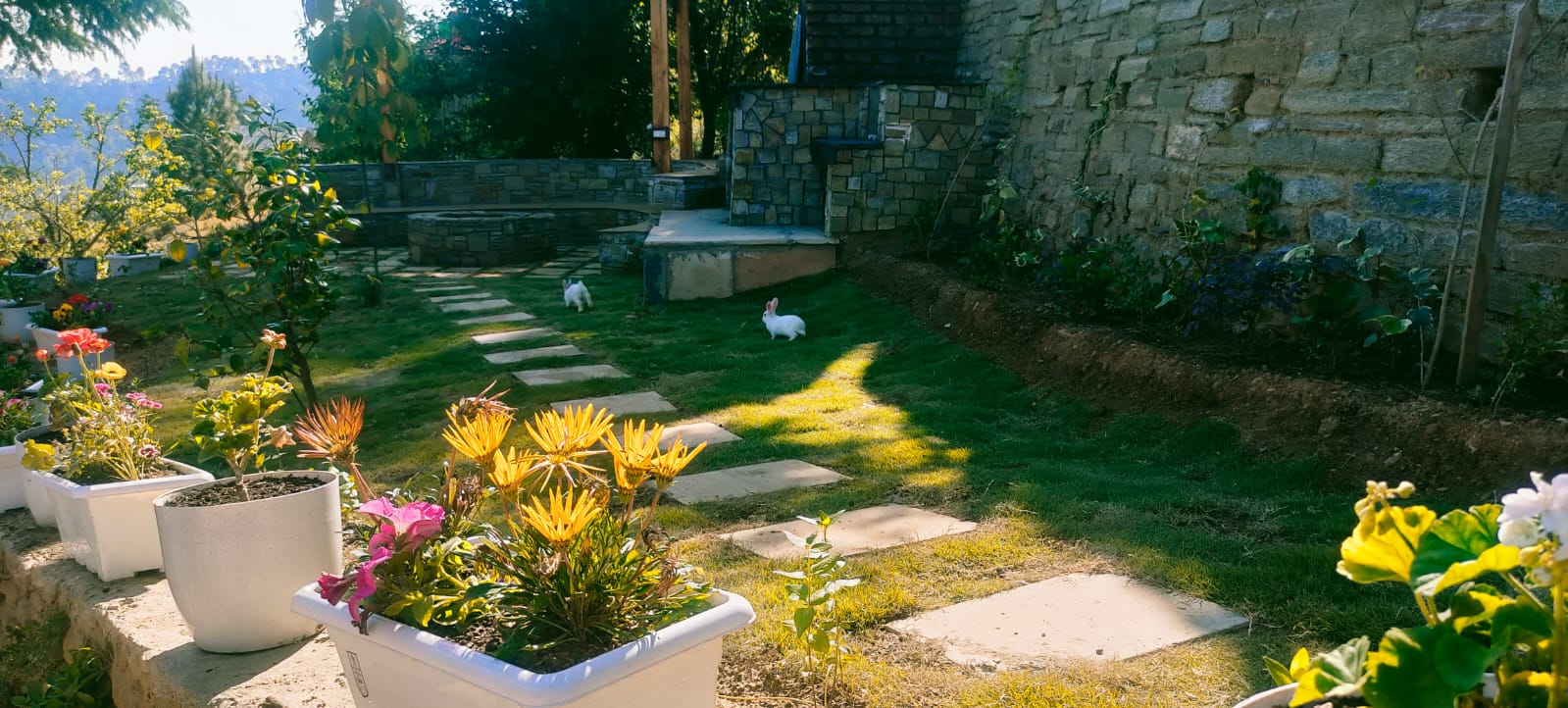 Garden